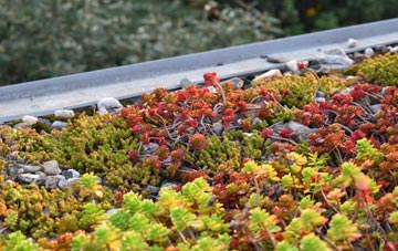 the cost of Haysford green roof installation