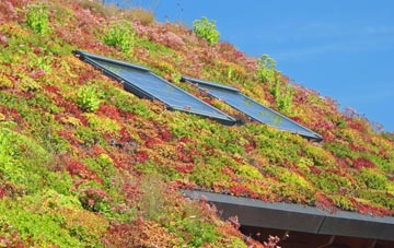 Haysford living roof systems